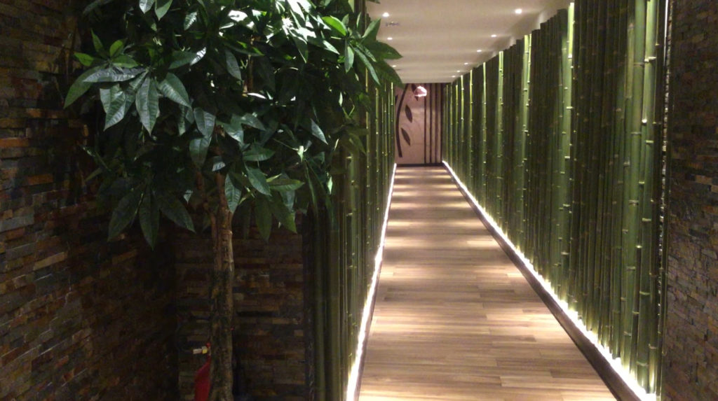 Il corridoio in bambù